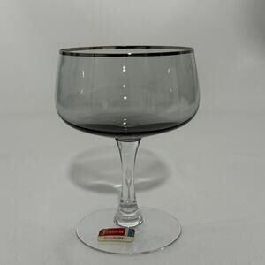 Fostoria Cherish Champagne Sherbet Coupe Glass Smoke Gray Platinum Rim 5 1/8”